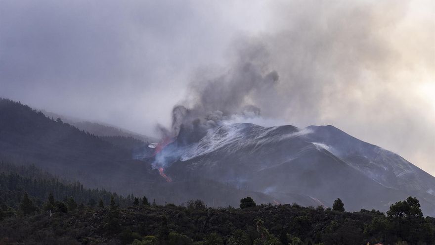 La Palma registra 25 terremotos desde la medianoche, el mayor de magnitud 4,2 en Fuencaliente