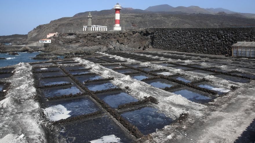 Salinas sin producción, invernaderos a oscuras y azoteas ennegrecidas, los estragos de la ceniza volcánica que sigue cayendo en La Palma