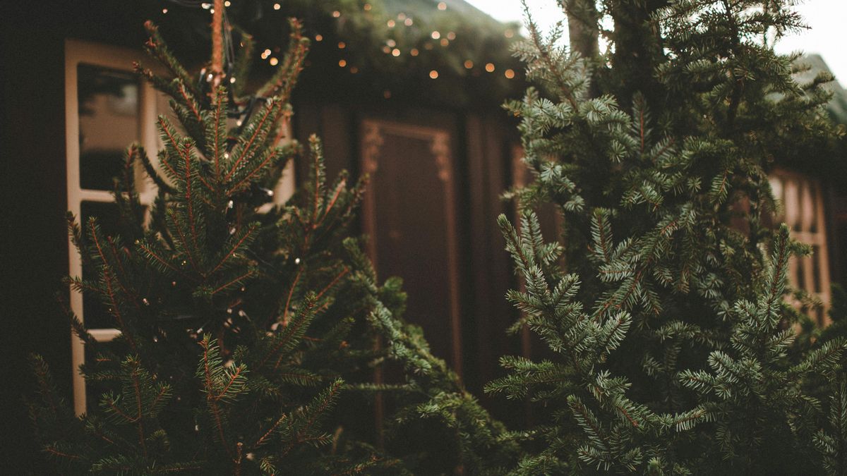 El pequeño pueblo catalán conocido por su tradicional feria del abeto y con un entorno natural único