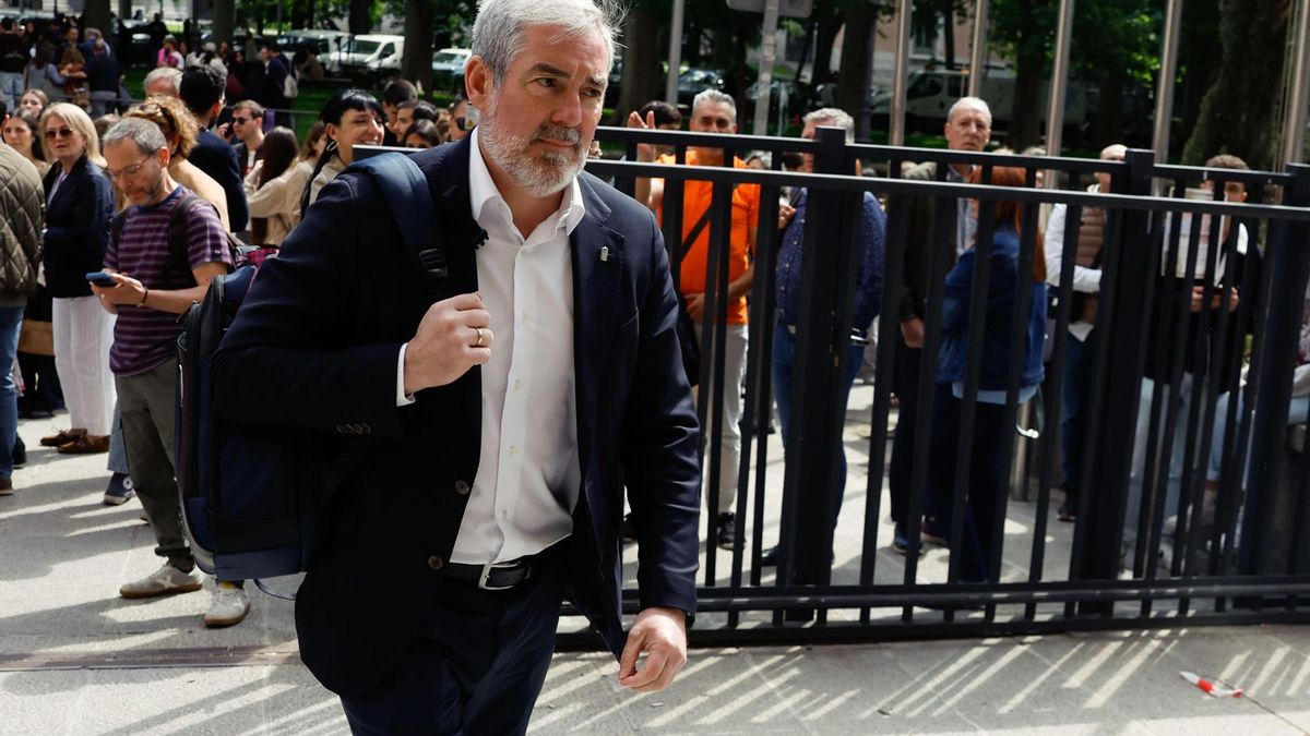 Clavijo recurrió a la inteligencia artificial para defender ante la ministra de Sanidad que las ratas nadan