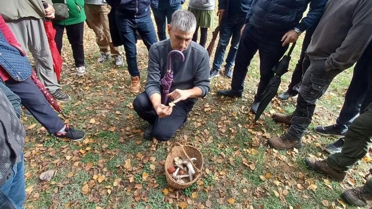 Fontanos de Torío acoge un curso sobre producción, transformación y conservación de setas ecológicas