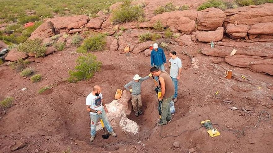 Descubren en Neuquén una nueva especie de dinosaurio que vivió hace 95 millones de años