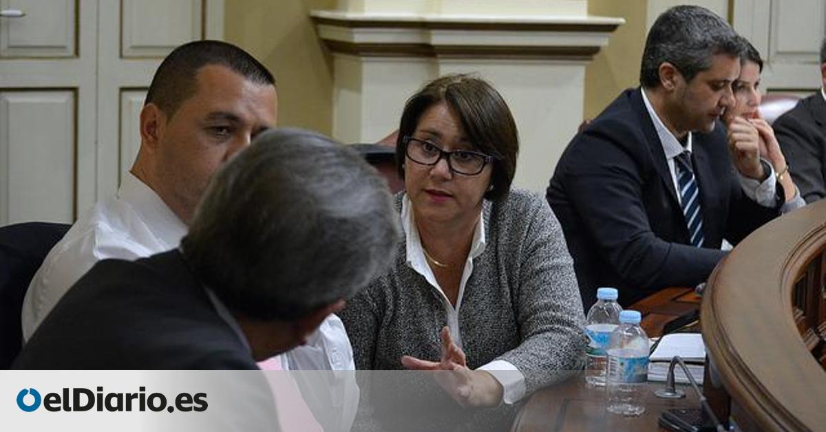 Nueva Canarias pedirá la supresión en