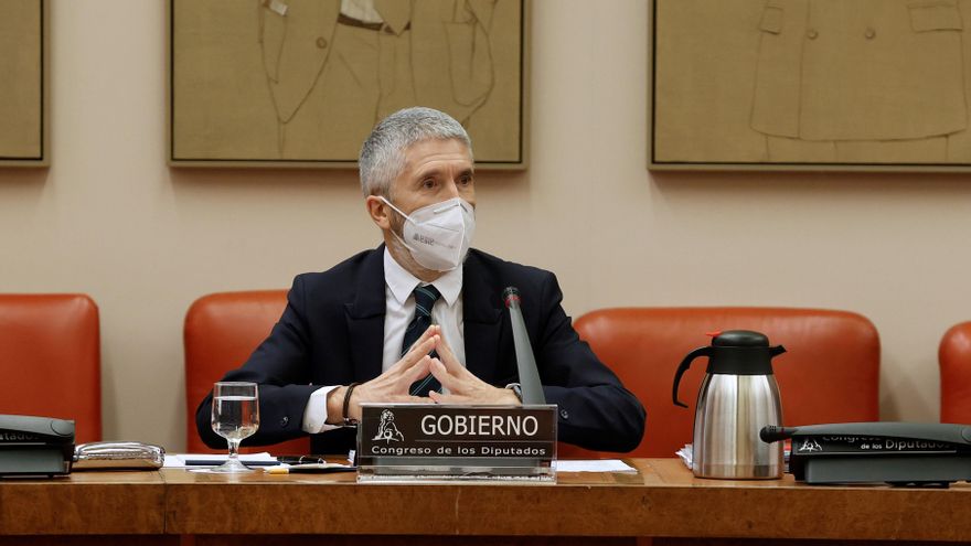 El ministro del Interior, Fernando Grande-Marlaska, durante su comparecencia este viernes en el Congreso. EFE/Zipi