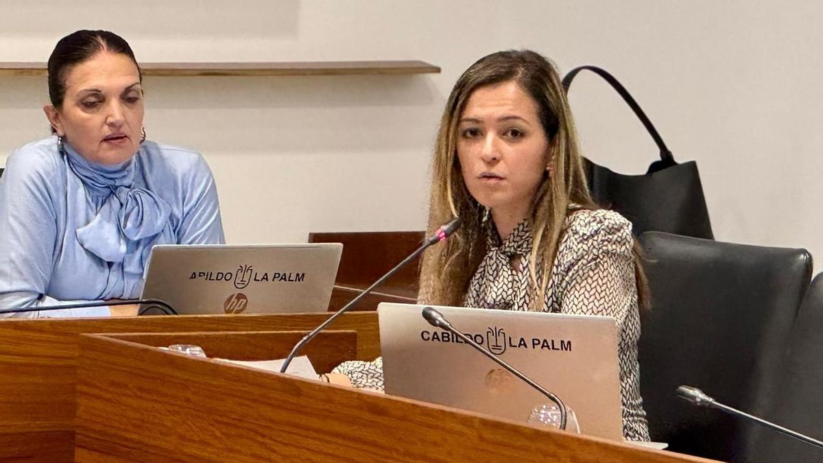 El Cabildo defiende “el rigor técnico y el respeto a la propiedad privada” en la gestión del patrimonio cultural