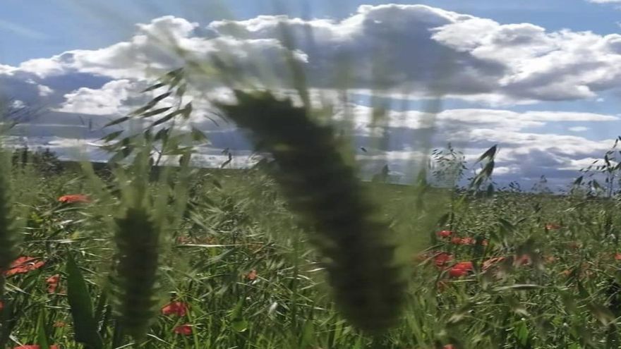 Vivir en el campo, la cura frente al desgaste del ritmo frenético en las ciudades