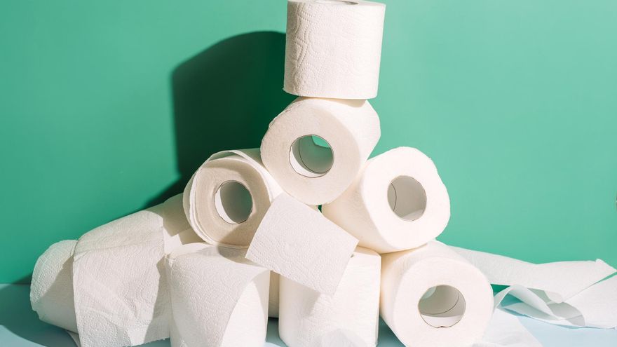 La regularidad a la hora de ir al baño: ¿es mejor ir todos los días o no es necesario?