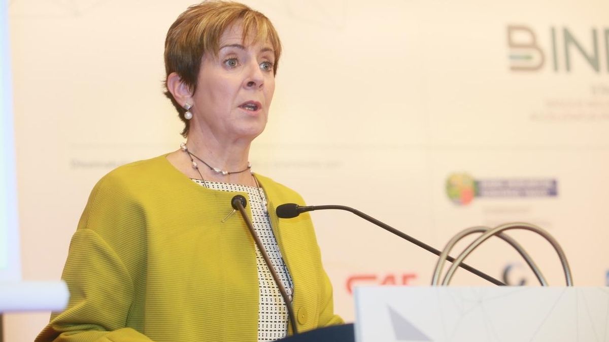 Gobierno vasco espera poner en marcha el centro de ciberseguridad "en el plazo de tiempo más breve posible"
