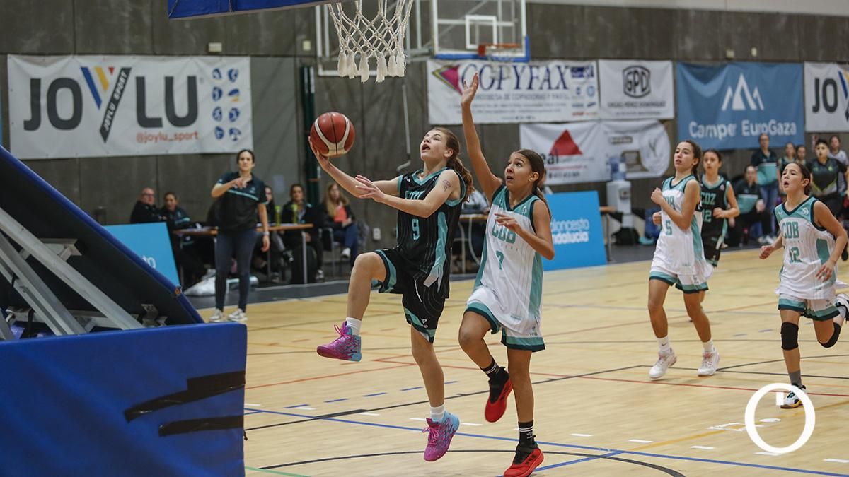 Finales del campeonato de andalucía de minibasket femenino