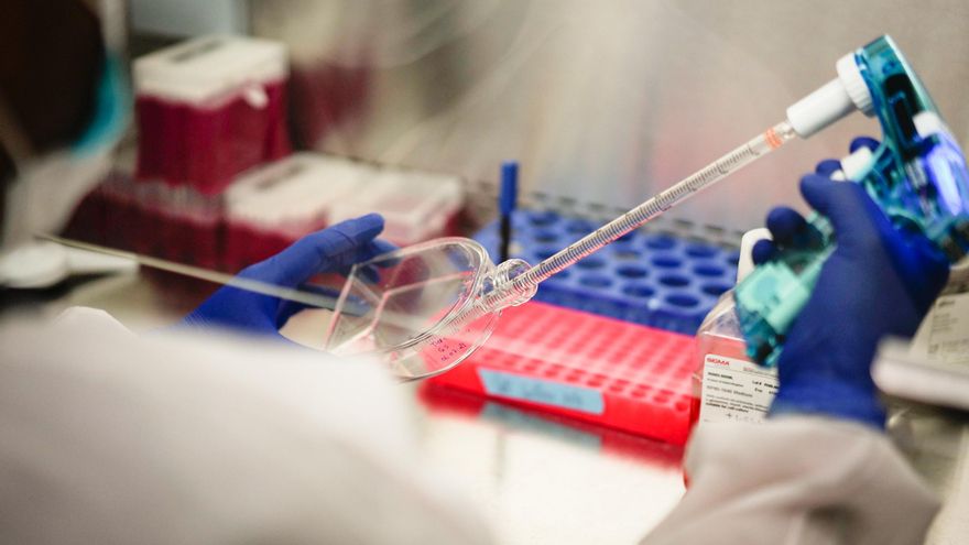 Gran avance contra el cáncer: logran generar células CAR-T con una inyección, sin tener que entrenarlas fuera del cuerpo