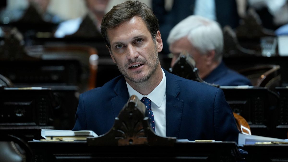 Un diputado compró un rifle por Mercado Libre y se lo enviaron al Congreso