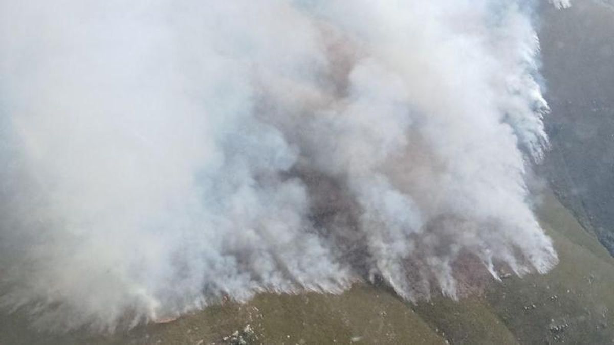 Estado del incendio de Llanos de Cabrera, desde el aire.