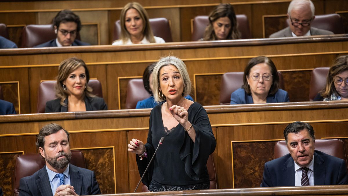 La diputada de Vox por la provincia de Toledo, Inés Cañizares