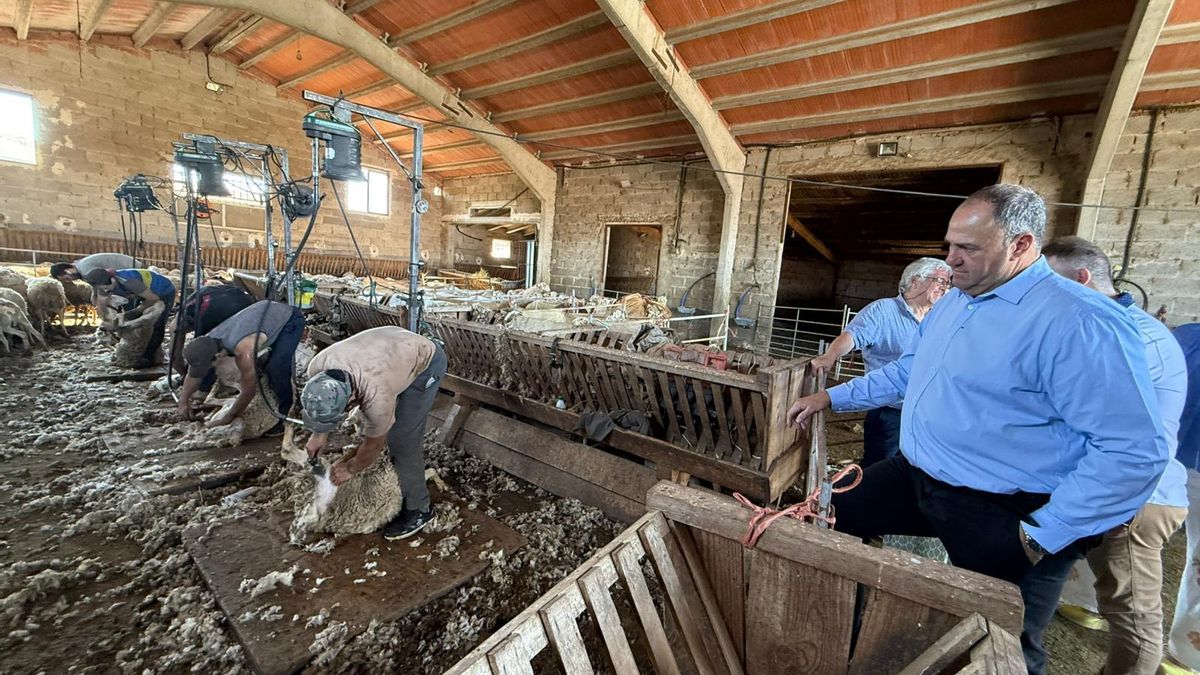 La Escuela de Pastores de Castilla-La Mancha ya ha empleado a 66 trabajadores en explotaciones ganaderas