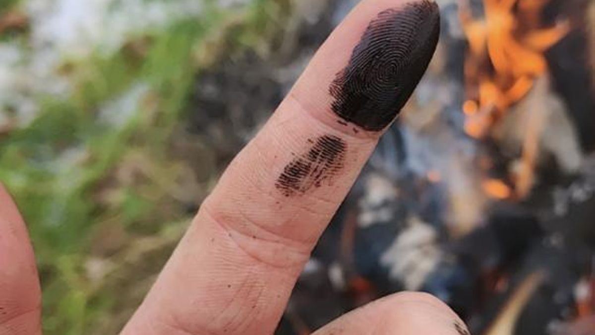 Los neandertales fabricaban una sustancia negra con corteza de abedul y la usaban como antibiótico mucho antes de la medicina moderna