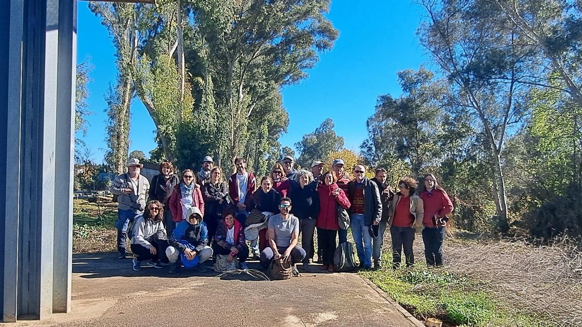Colectivos ciudadanos alertan de que los nuevos desarrollos urbanísticos de Sevilla arrasarán sus últimos suelos fértiles