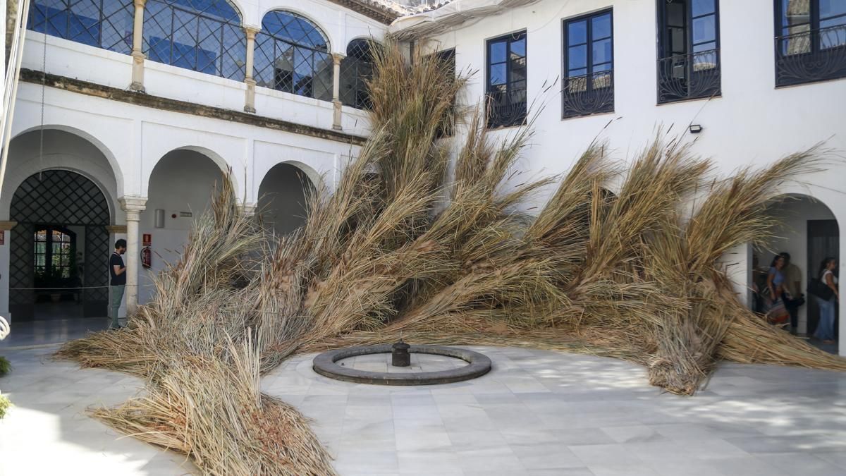 FLORA 2026 - Mas Rasa (Palacio de Orive)