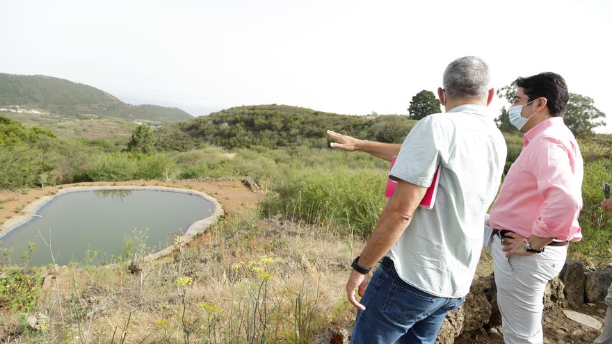 Se ha habilitado un humedal para la avifauna.