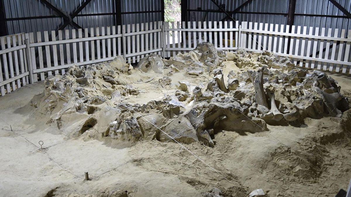 Los constructores del frío usaron los huesos como respuesta a la falta de madera