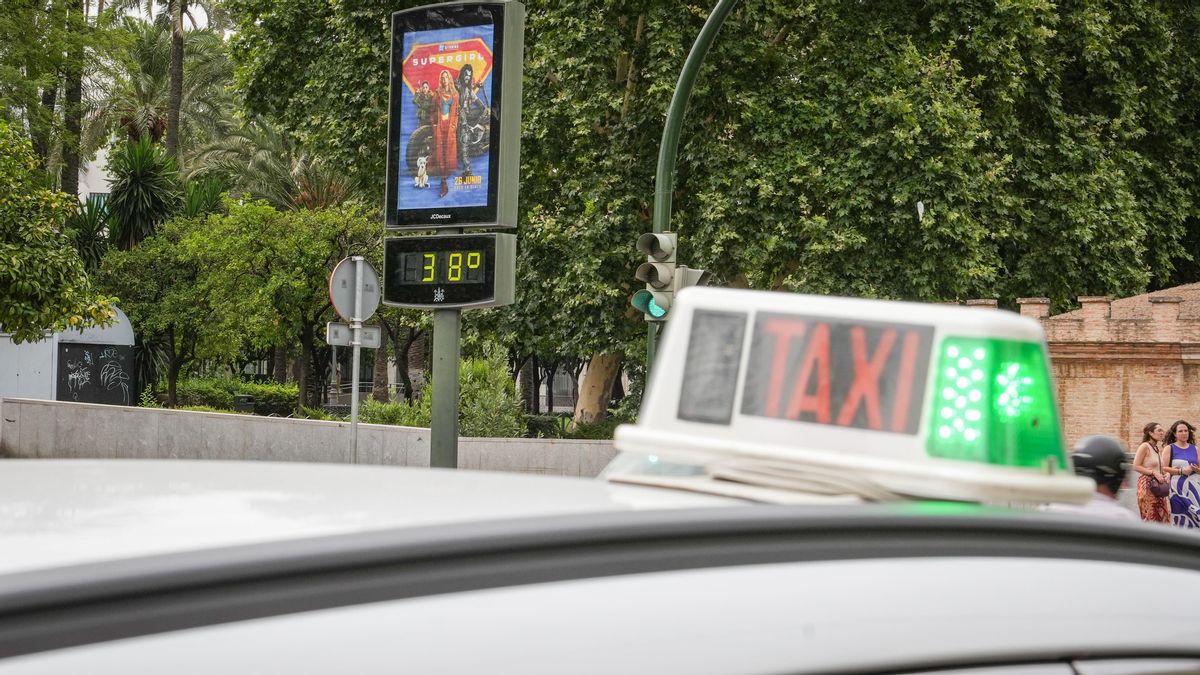 Taxis en la parada sin marquesina de Puerta Gallegos
