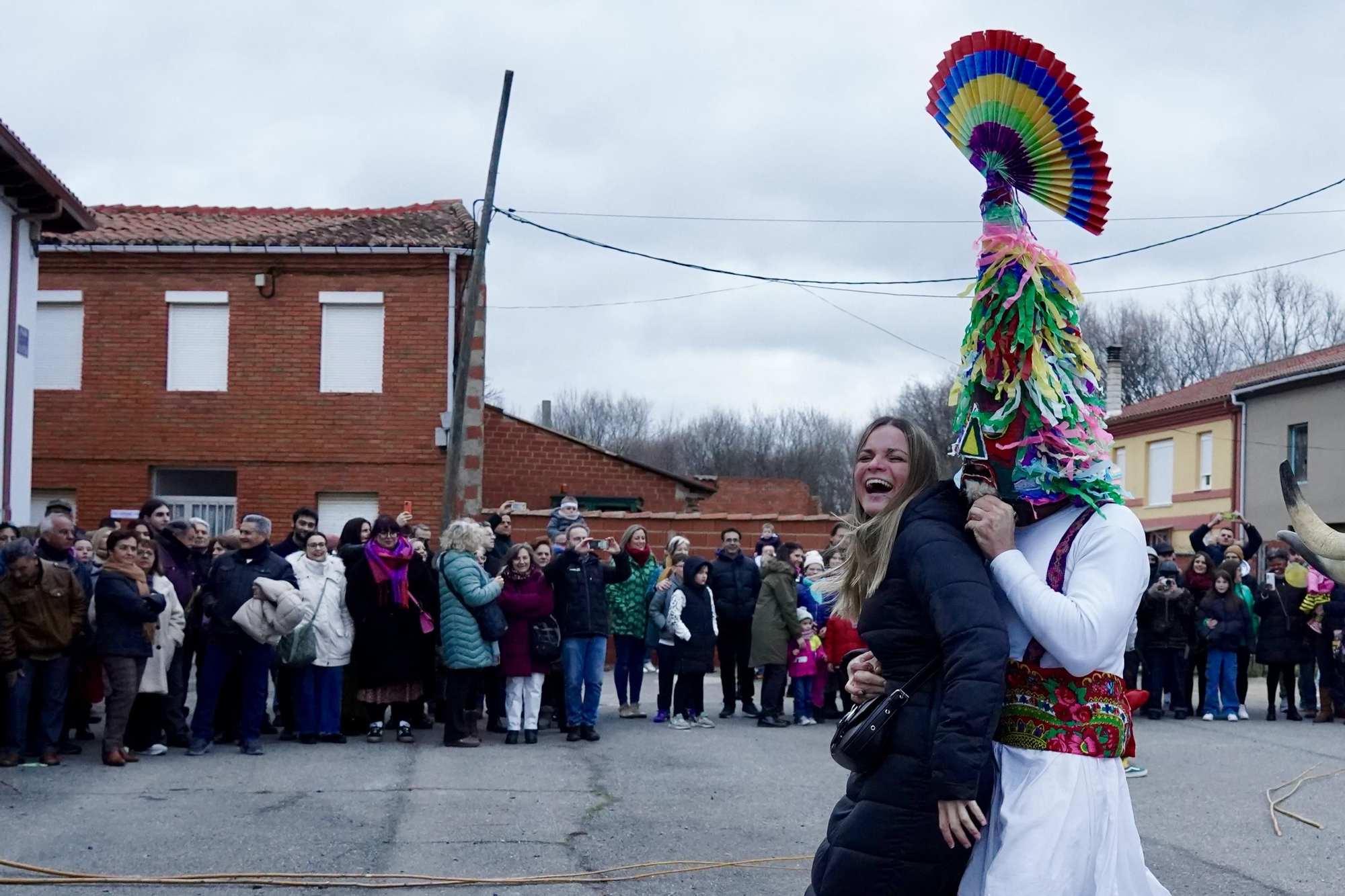Toros y guirrios del antruejo en Velilla de la Reina