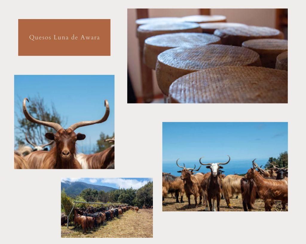 Quesería 'Luna Awara'.