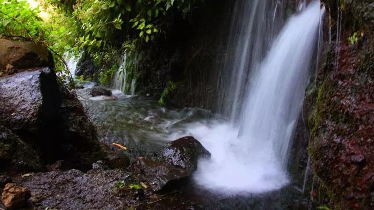 Nacientes de Marcos y Cordero, en el municipio de San Andrés y Sauces.