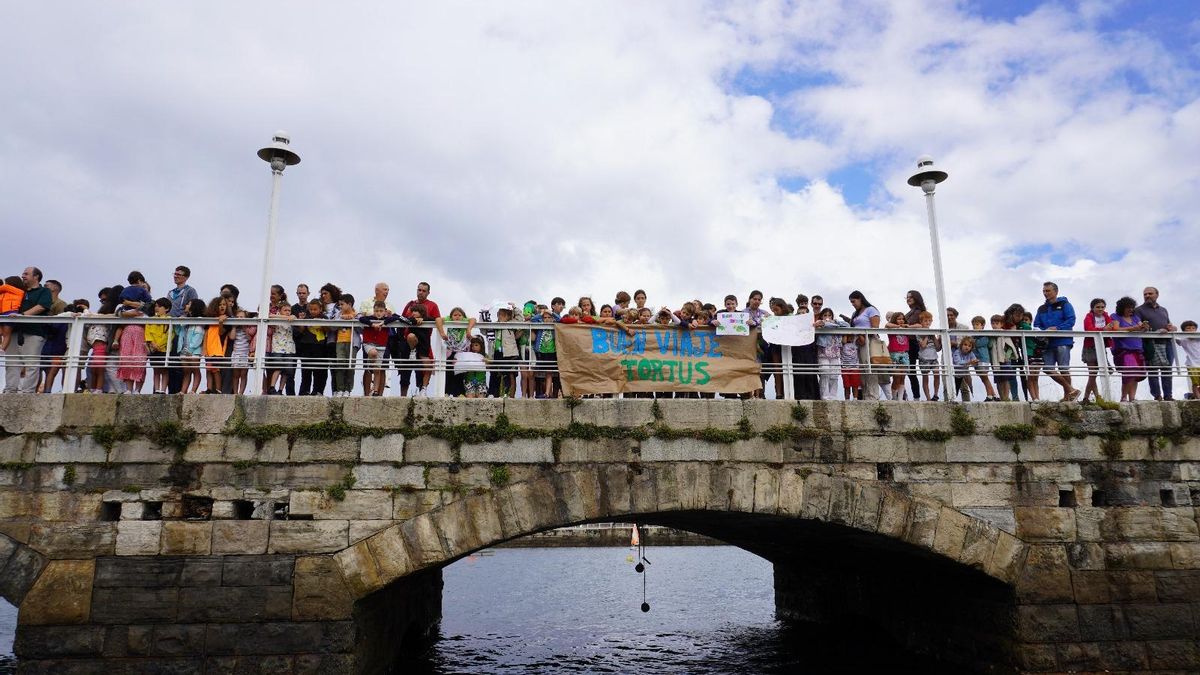La suelta de las tortugas bobas despertó una gran expectación.