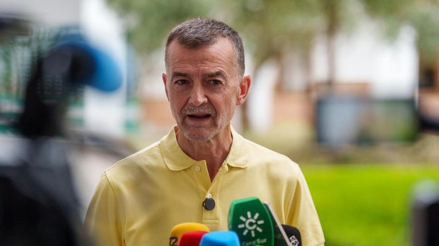 El coordinador federal de Izquierda Unida y portavoz de IU en el Parlamento andaluz, Antonio Maíllo.