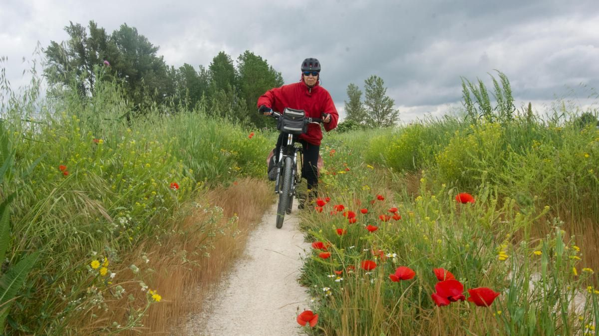 La primavera irrumpe en la vía verde