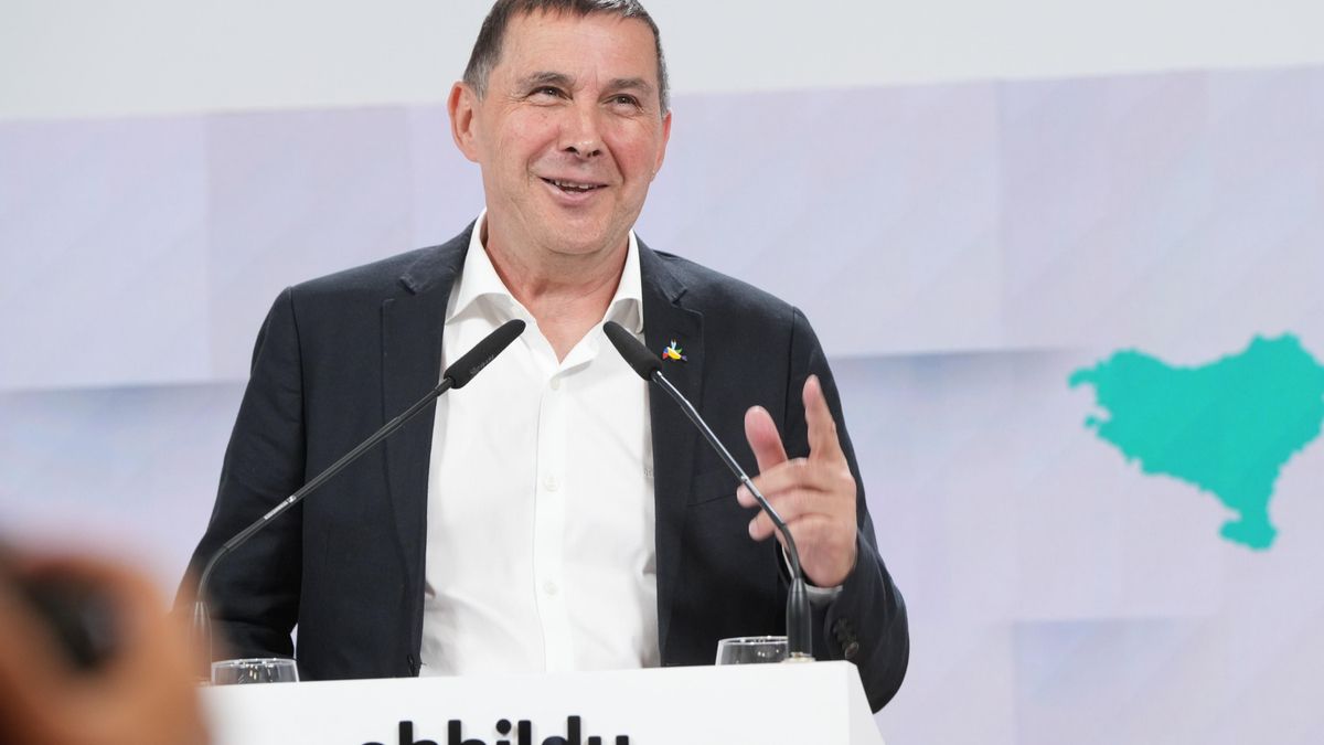 Archivo - El coordinador general de la coalición, Arnaldo Otegi.