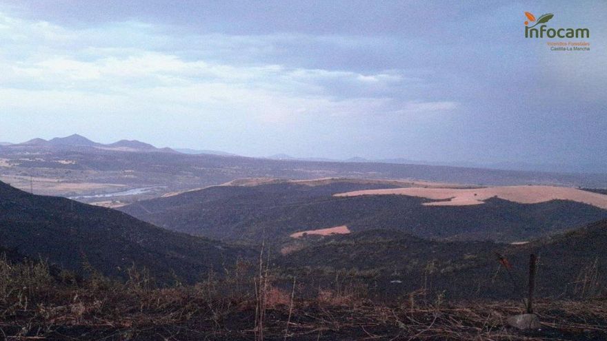 El escenario es "desolador" tras el incendio en las Barrancas de Burujón, según Ecologistas