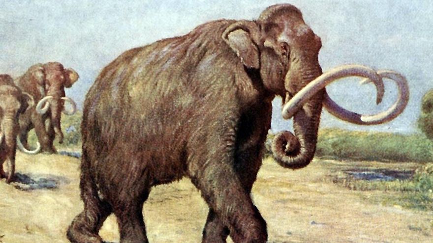 ¿Qué ocurrió en el Evento de Extinción del Cuaternario para que el planeta perdiera a la mayoría de sus grandes mamíferos?