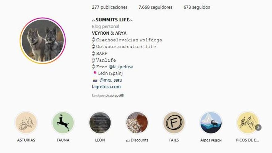 Cuenta de Veyron y Aria en Instagram