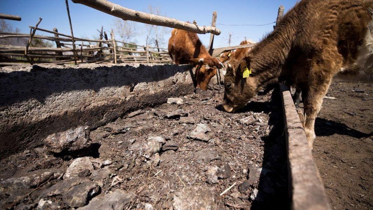 El sindicato Asaja rasalta la oportunidad para los agricultores de León que puede suponer la grave sequía en el norte
