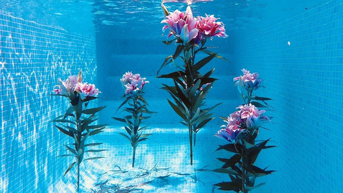 Instalación floral realiazada por Ikefrana.