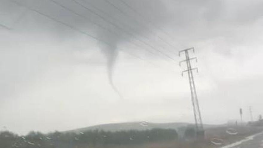 Avistada una tuba cerca de Pedro Abad