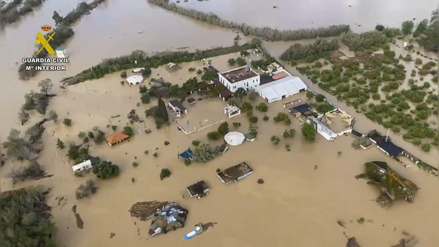 Rescatan a 30 trabajadores, 6 voluntarios y 16 perros de un refugio en Málaga