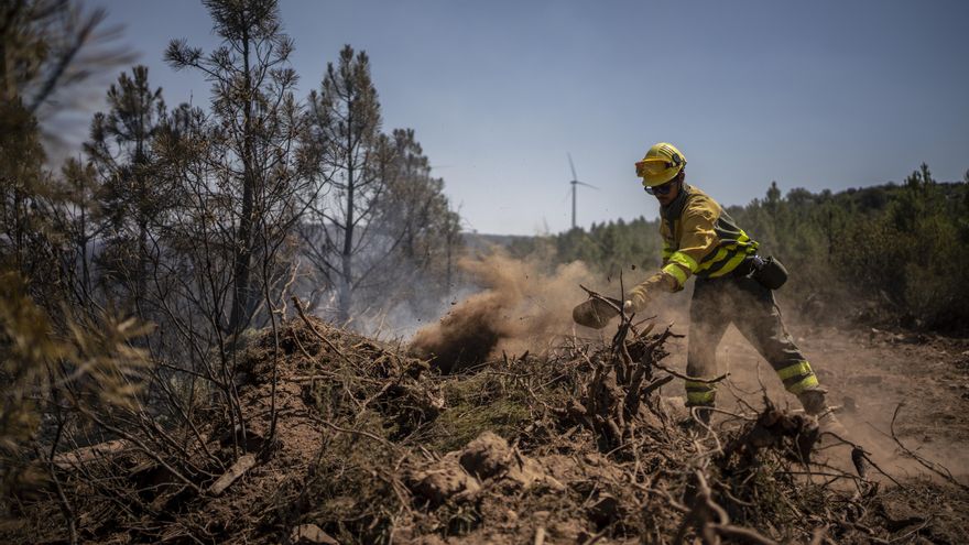 Labores de extinción en el incendio de la comarca de Tábara (Zamora) en julio de 2022.