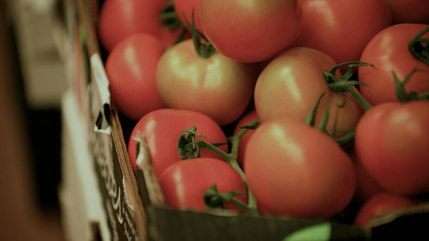 ‘Réquiem por el tomate’, en Informe Trópico