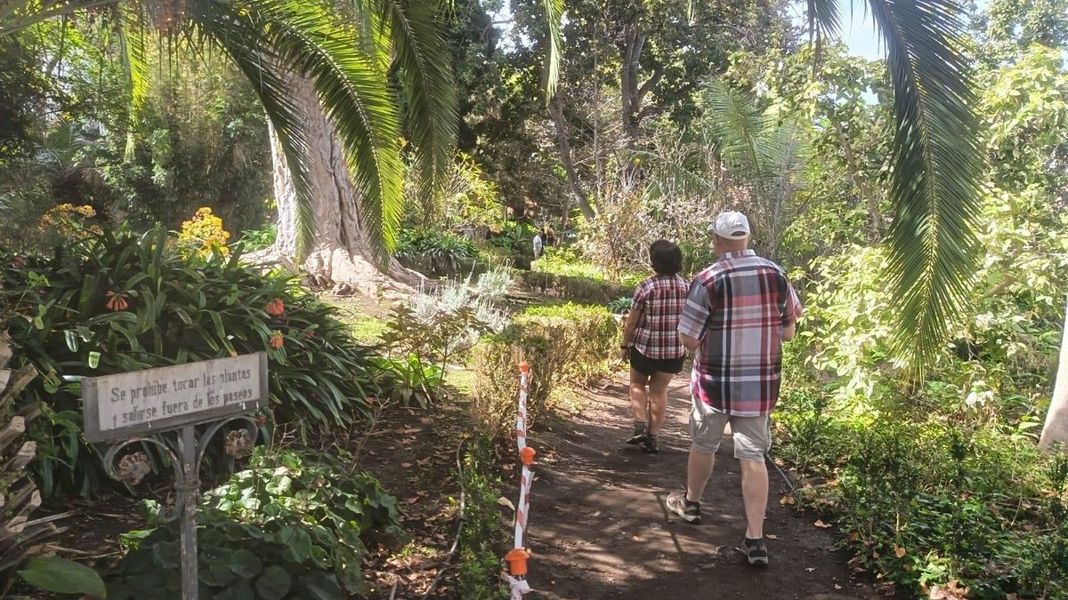 La Hijuela del Botánico, una joya de Tenerife sumida en la desidia bajo el pretexto de la falta de presupuesto y su protección como BIC