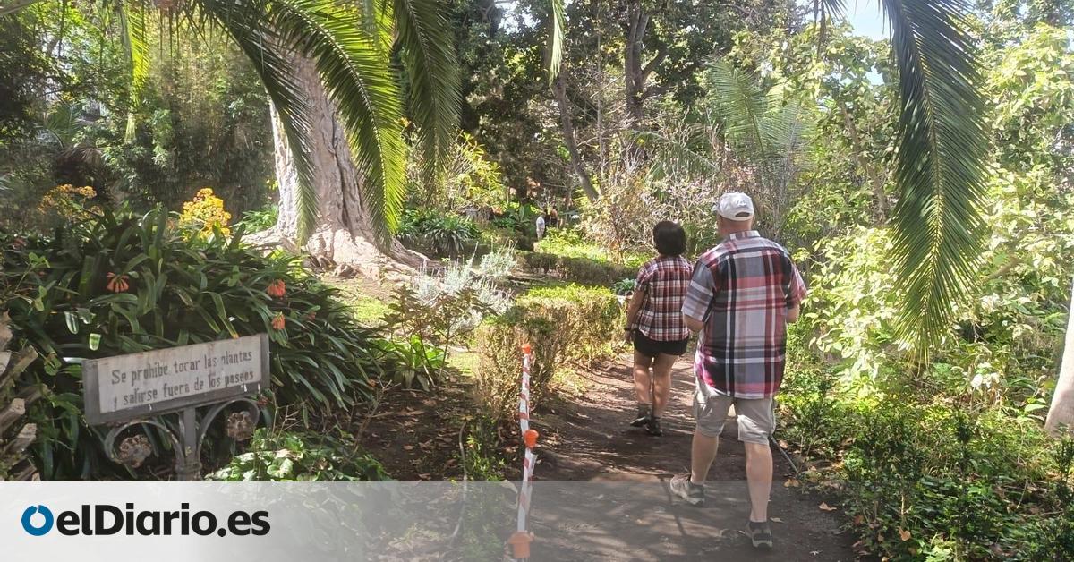 La Hijuela del Botánico, una joya de Tenerife sumida en la desidia bajo el pretexto de la falta de presupuesto y su protección como BIC