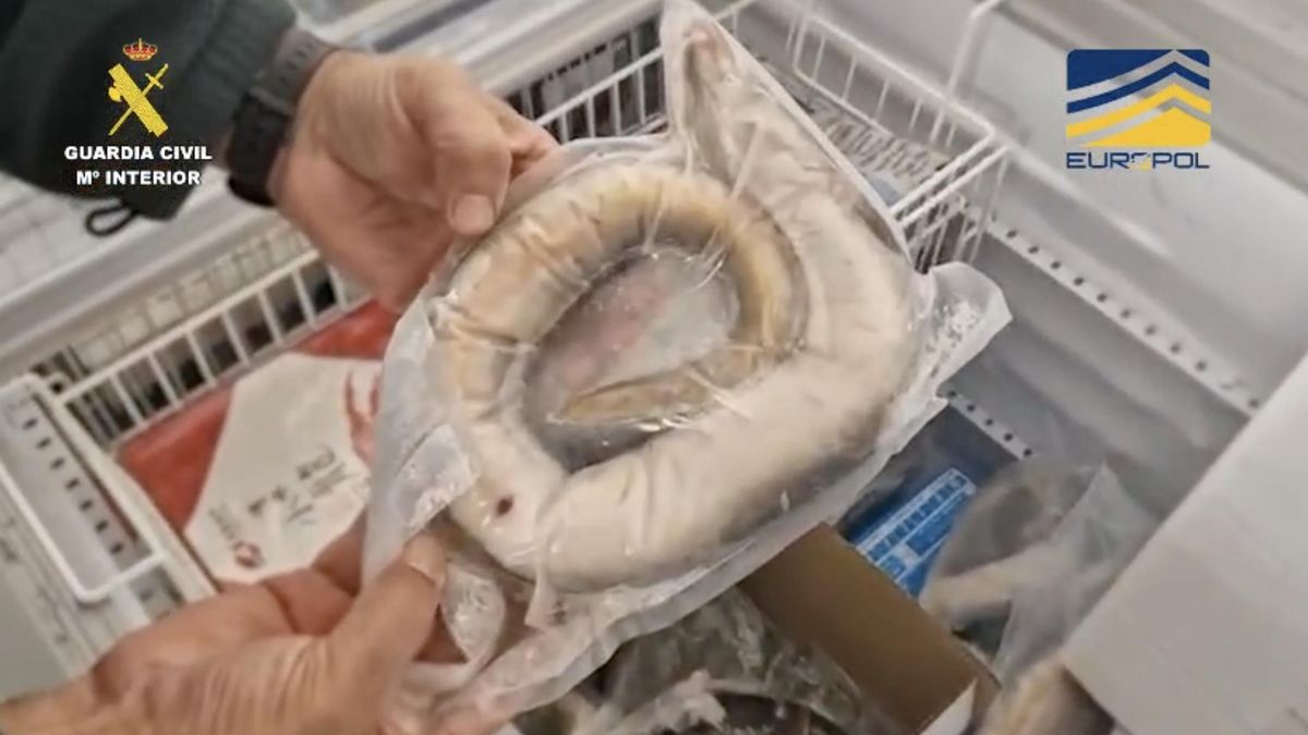 Uno de los alimentos detectados en un comercio inspeccionado por la Guardia Civil.