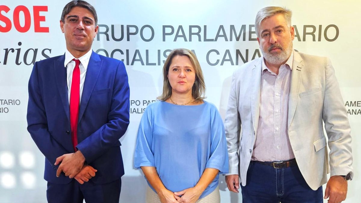 Diputados del Grupo Parlamentario Socialista por La Palma en la Cámara autonómica.