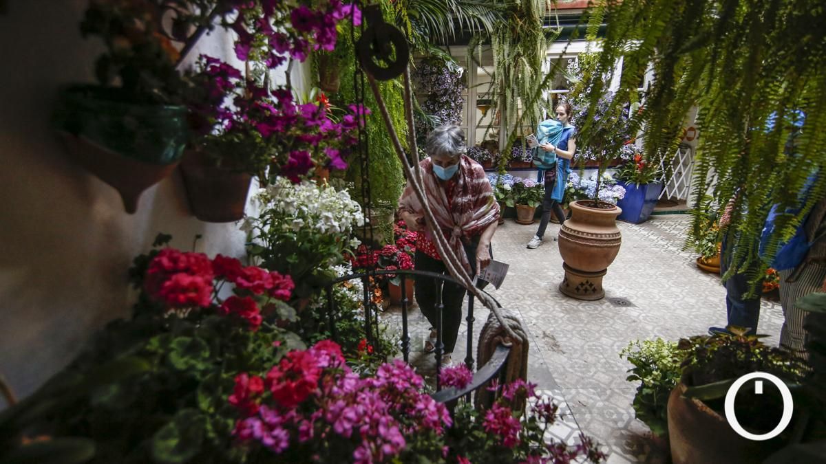 Las imágenes de los ganadores del Festival de Patios de Córdoba