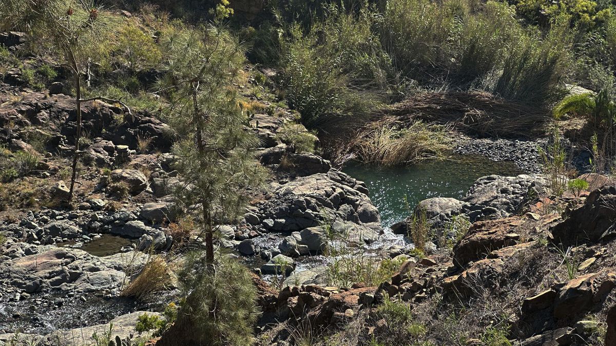El Barranco de La Data se cierra poco antes de llegar a Las Tederas y da acceso a los charcos del cauce.