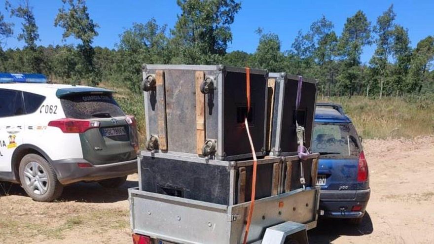 Desalojo de una acampada en un pinar de Soria que podría ser previa a una fiesta rave.