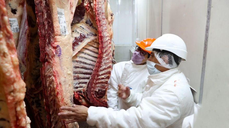 Histórico: la carne dejará de llegar en media res a las carnicerías y deberá transportarse en trozos