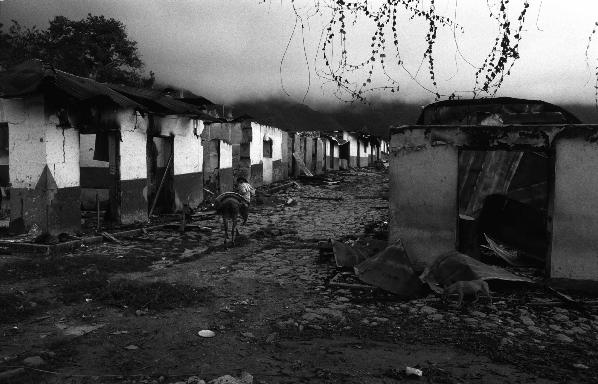 Colombia. / Fotografía: Jesús Abad Colorado