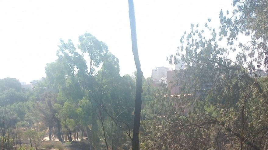 Arden seis hectáreas de la Dehesa de la Villa